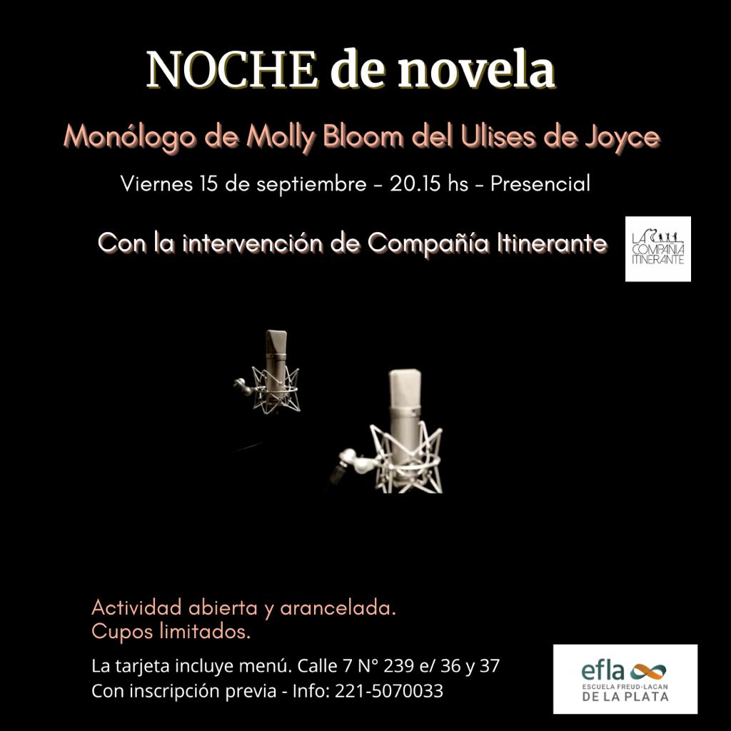 Flyer noche de novela