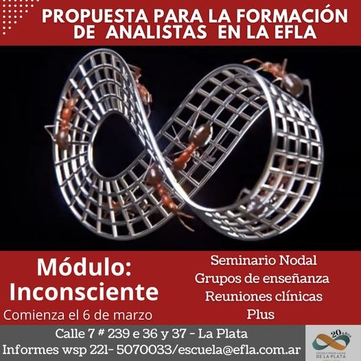 Flyer Propuesta de formación de analistas en Efla